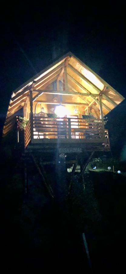 Domeniul Horj Casa Din Deal Moisei Exterior foto