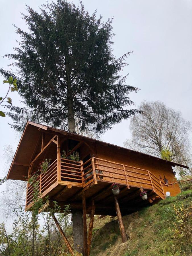 Domeniul Horj Casa Din Deal Moisei Exterior foto